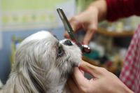 ���j�C���[�W